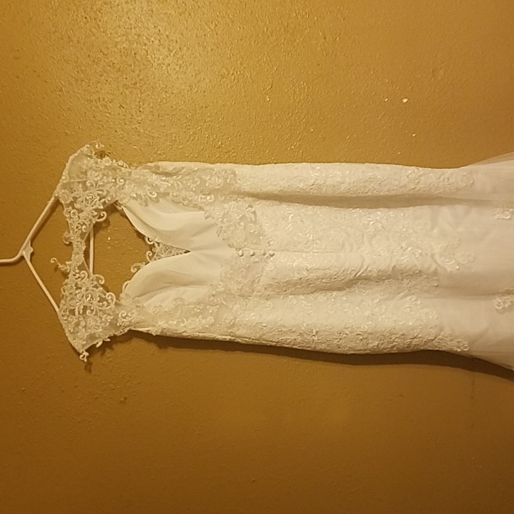 Wedding Dress and veil - Picture 5 of 10